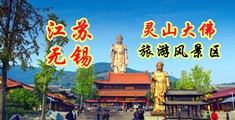 肥逼网站江苏无锡灵山大佛旅游风景区