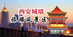 插穴黄中国陕西-西安城墙旅游风景区