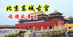 咪咪嗳高清视频《淫荡眼镜女老师》中国北京-东城古宫旅游风景区